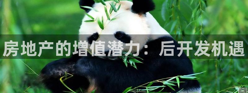 永利带业 皮带 输送带 价格