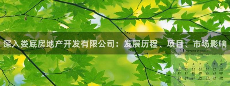 永利房地产有限公司董事长是谁