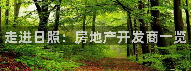 永利的老板是谁
