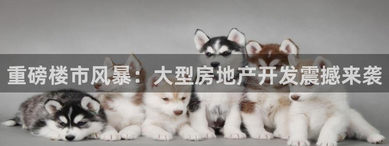 永利创始人