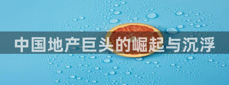 永利运动鞋是几几年出的