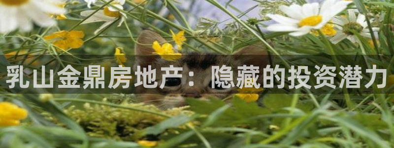 佛山永利工业皮带厂招聘