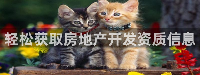 永利建筑工程有限公司董事长