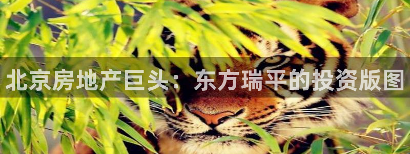 永利系统维护拒绝出款怎么办