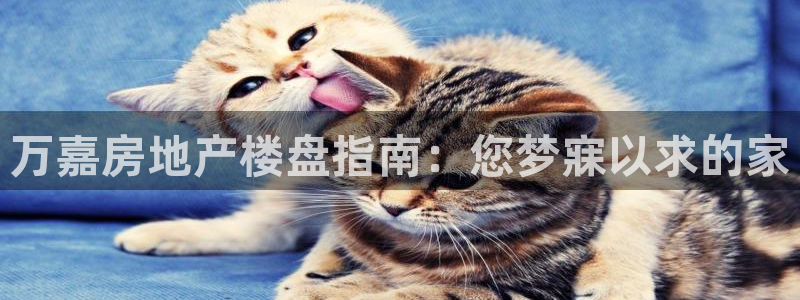 永利网9900777公司的地址
