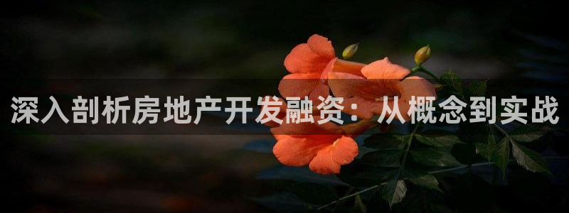永利 老板