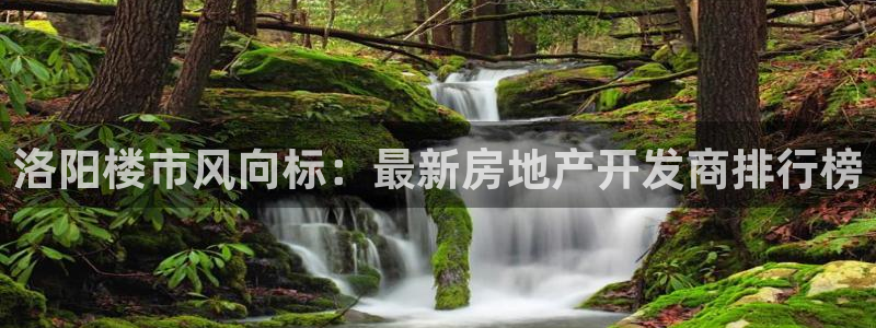 永利集团3044浏览器