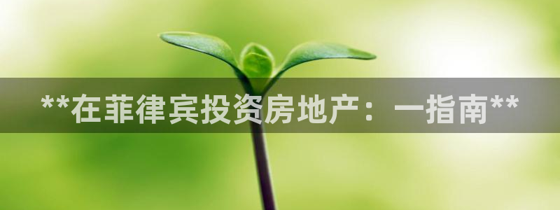 永利每月送30
