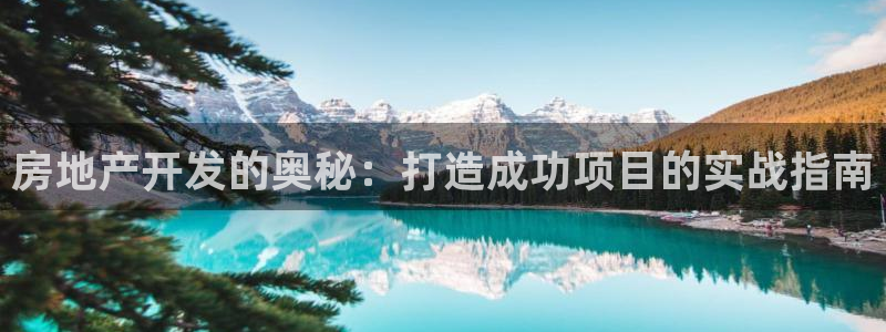 永利房地产有限公司董事长是谁