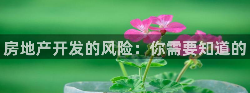 永利带业集团