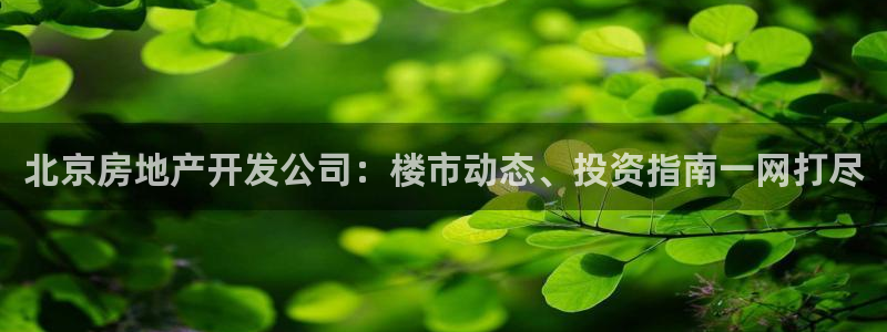 澳门永利 陈志玲