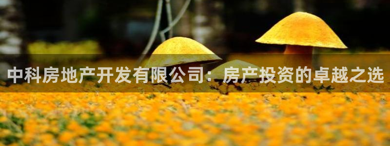 为什么永利网址打不开