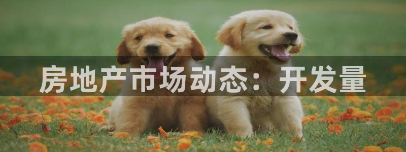 永利胶带批发部怎么样