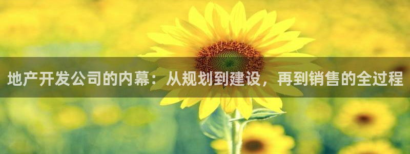 永利输的钱可以弄回来吗安全吗