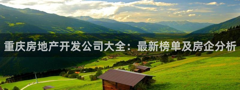 永利皮带报价