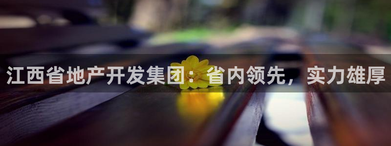 永利皮带型号说明