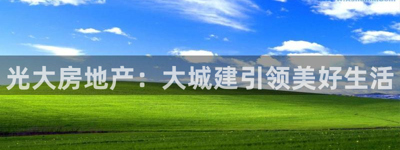 永利股份(300230)