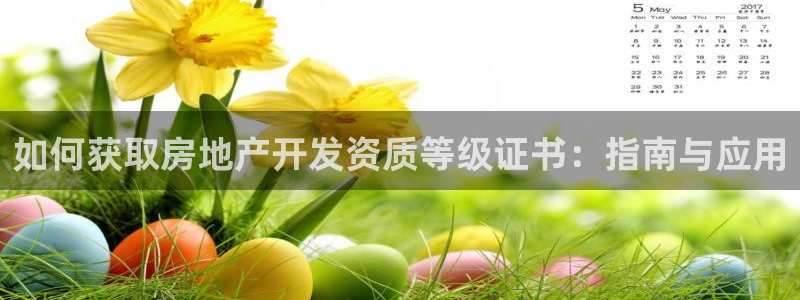 永利皮带型号说明图解
