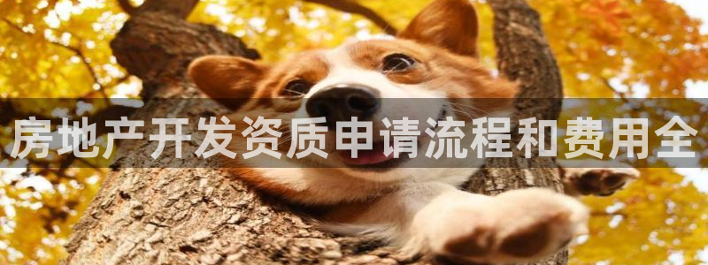 永利精工董事长