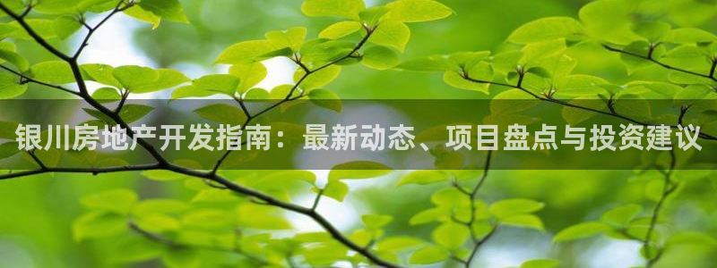永利网输了几十万