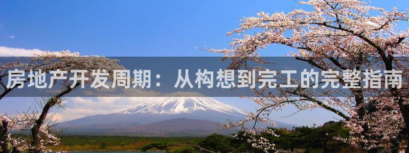 永利钱提不出来怎么办