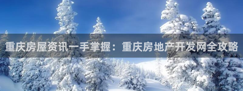 永利中国总裁