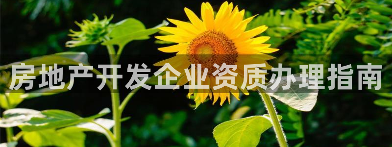 永利制版