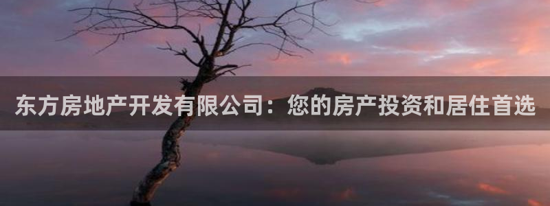 永利鞋业