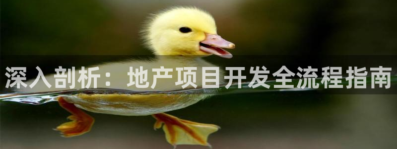 永利公司是做什么的