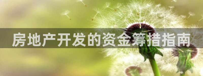 永利中国股票