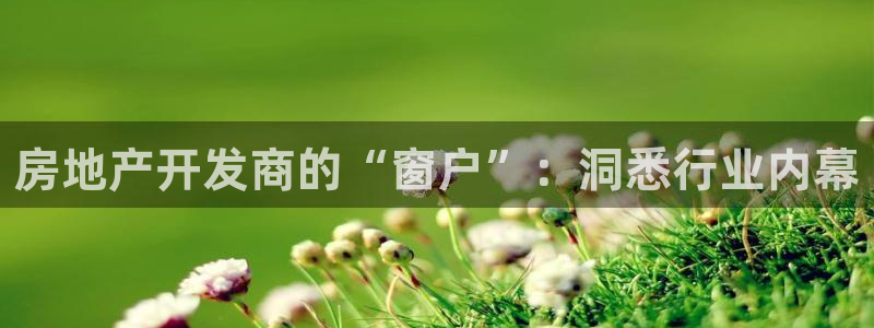 永利 股票
