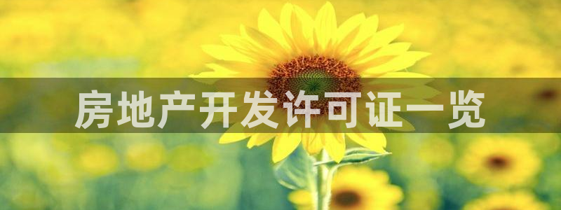 永利运动鞋