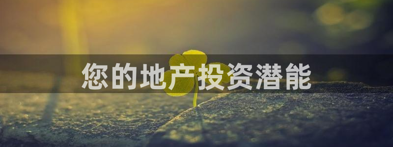 永利背一分