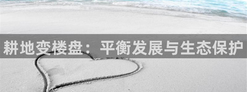 永利睹钱