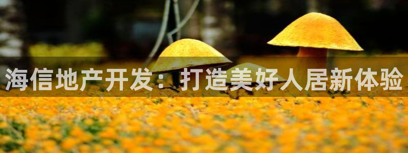 永利皮带官网