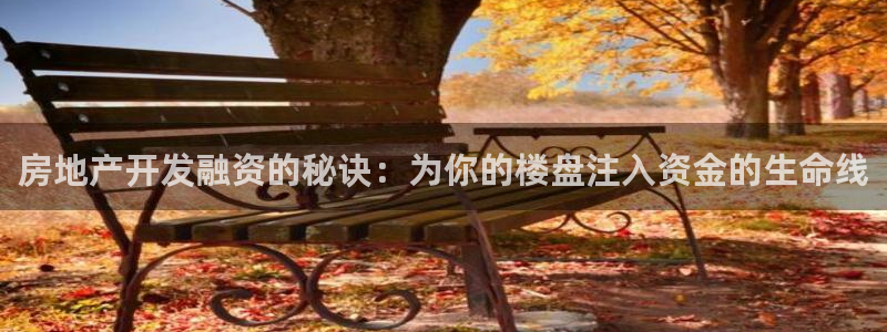 304.cam永利集团