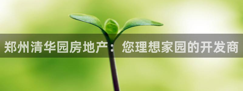 永利官网y