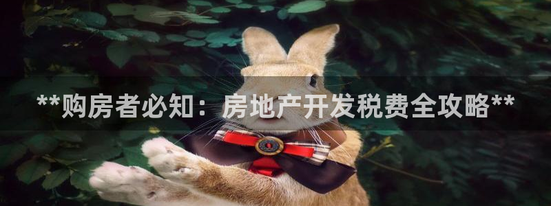 永利汇客房价格
