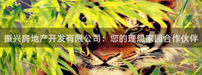 永利百货怎么样