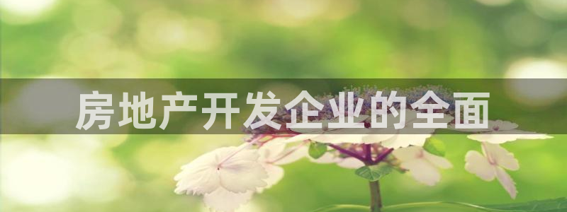 永利有限公司