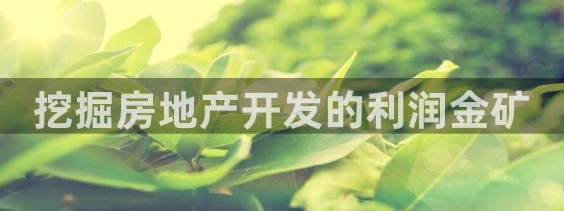 永利精工董事长