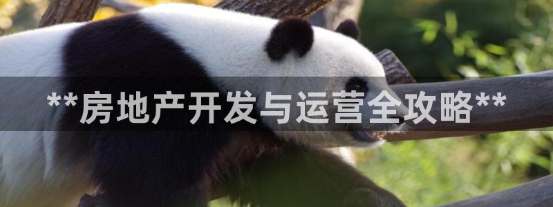 永利官网查询系统