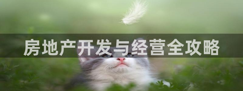 永利鞋业
