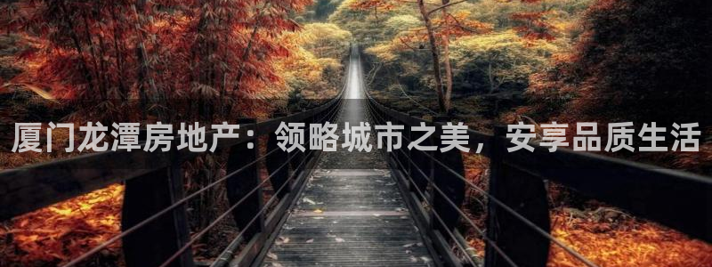 永利带业集团2020年的业绩状况