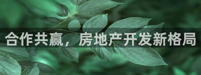 永利有限责任公司