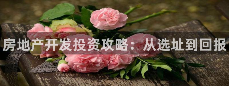 永利汇茶具官网
