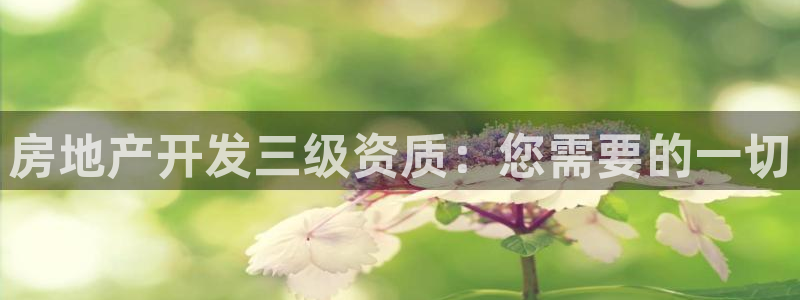永利背五厘正常价格