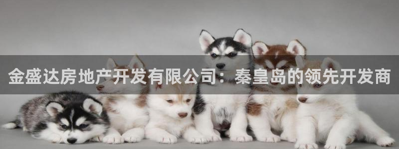 永利网是不是真的便宜