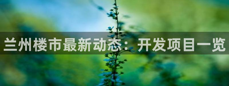 永利中国东北菜