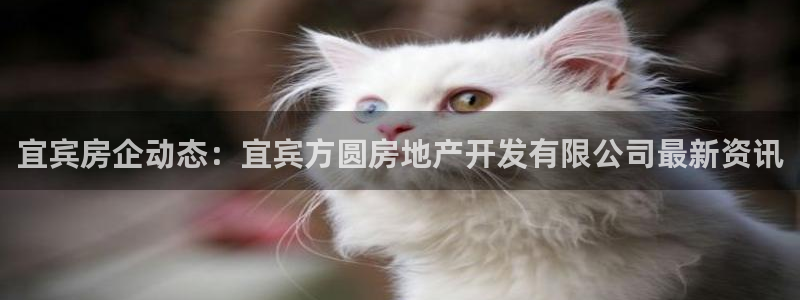 永利带业公司怎么样